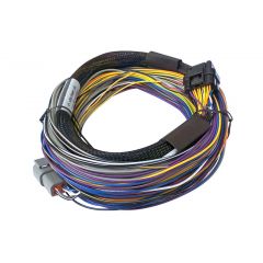 Haltech Elite 750 Basic Universal Wire-in Harness