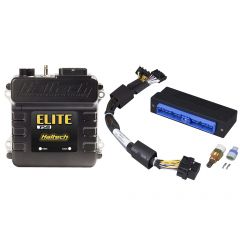 Haltech Elite 750 + Nissan Patrol Y60 (TB42) Plug 'n' Play Adaptor Harness Kit