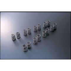 Tomei Japan Valve Springs Type-A For Nissan Silvia S13 180SX S14 200SX S15 SR20DET 173004