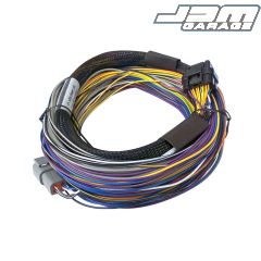 Haltech Elite 550 Basic Universal Wire-in Harness